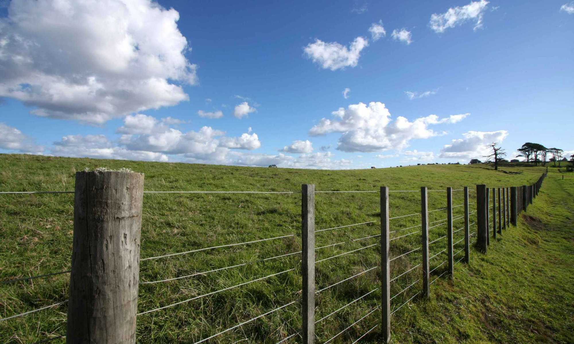 Lifestyle blocks on the rise Property & Build