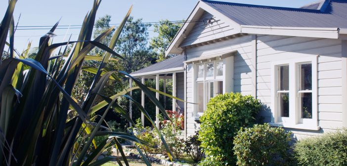 ‘Green shoots’ emerge in declining property market