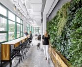 New Zealand’s imbalance of office space