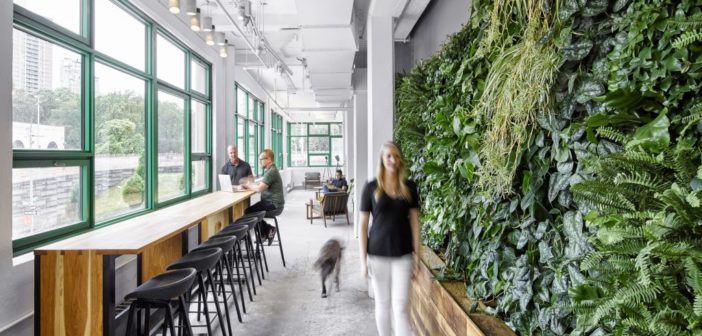 New Zealand’s imbalance of office space