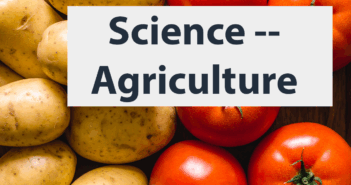 Tomatoes and potatoes don’t only sound similar and taste good together. They’re the closest of relatives, even though one has edible fruit and the other tubers. Turns out they’ve got an even stronger connection than scientists thought, says Science reporter Erik Stokstad